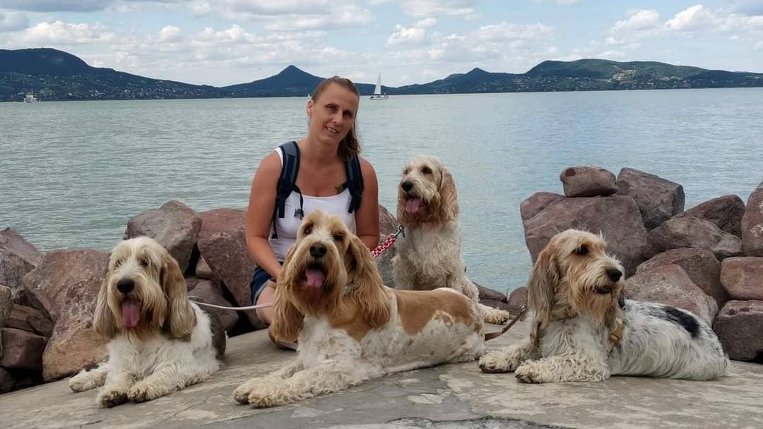 négy Grand Basset Griffon Vendéen fekszik vízparton a gazdájával