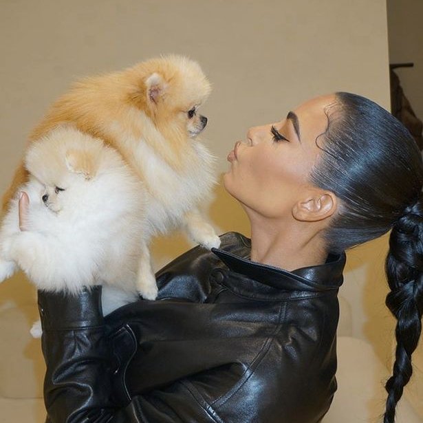 Kim Kardashian pomerániai kutyáival_forrás: www.mirror.co.uk