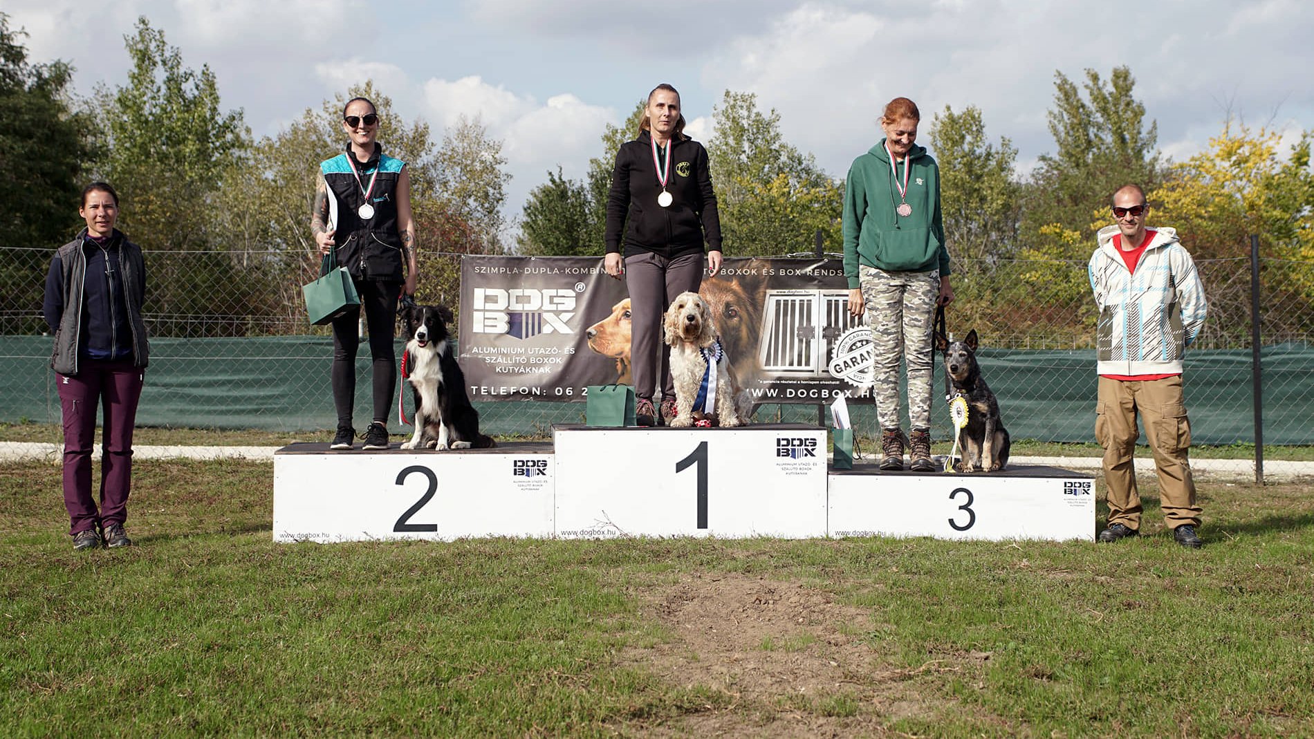 Grand Basset Griffon Vendéen kiállításon