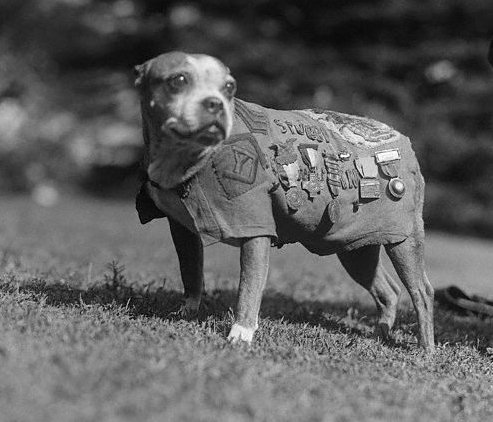 Stubby