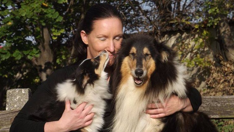 nő sheltie és skótjuhász kutyával