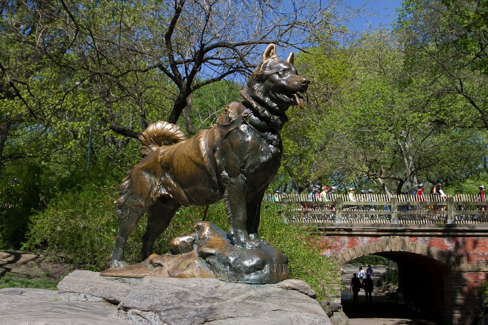 Kép: Balto szobra_forrás: centralpark.com