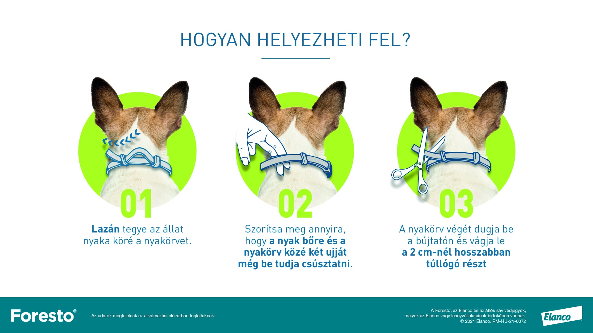 Forrás: Elanco.hu